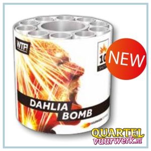 WTF Dahlia Bomb [CAF3423]
