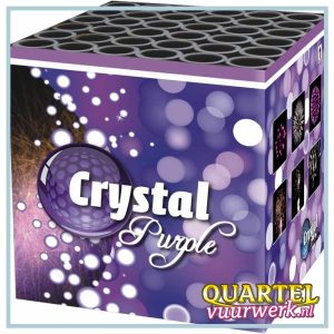 Cafferata Purple Crystal [CAF4060]