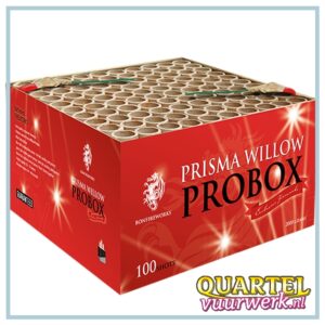 Bonfire PRISMA WILLOW PROBOX 100'S [RUB6266]