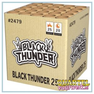 Black-Thunder 25 (kooi) (Nieuw in 2025) [CAF2479]