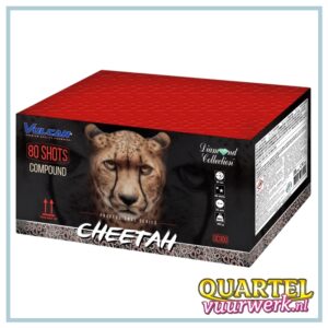 Diamond cheetah [DC900]