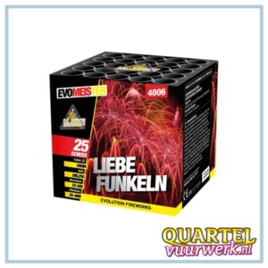 EVOMEISTER Liebefunkeln 25 schuss 25mm (RESTANT 2024) [WEC4006]