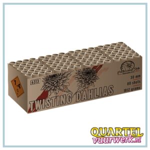 Twisting Dahlias 80 shots [WEC6313]