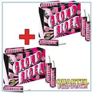 GBV Fireworks B2B Grondbloem (40 stuks) [WEC1405]